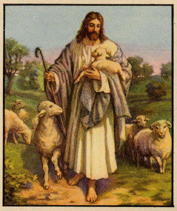 shepherd